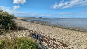La baie au fil des saisons - Mars